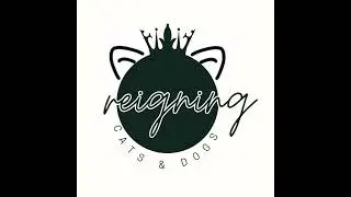 Sex Tapes & Starbucks Strikes: Chaos, Confessions, and Coconut Regrets