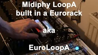 Midiphy LoopA in Euro Rack  - aka - Euro LoopA