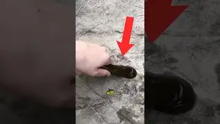 these rare photos will SHOCK you 😳