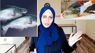 سمكة سامة بالأسواق 😳!!! شوف ازاى تتعرف علي سمكة الارنب السامة حتى لو متقطعة شرائح زى سمكة الباسا👌🏻