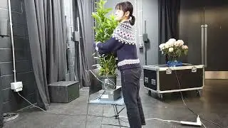 The Plant Symphony &ndash; An Interactive Sound Installation (7.1.4 Dolby Atmos)