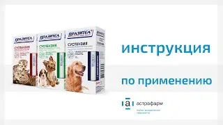 Празител суспензия для кошек и собак. Инструкция по применению
