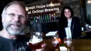 Fresh Hops infusion at Octopi Brewing
