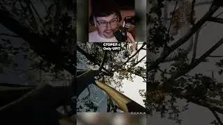 СГОРЕЛ с Only UP!? 😅 Как это ВОЗМОЖНО?! @CakeStream