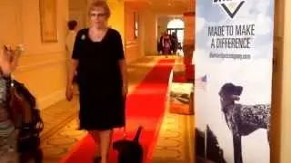 Red Carpet before BlogPaws Nose-To-Nose Awards At BlogPaws 2015 At Westin Lake Las Vegas