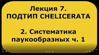 Зоология беспозвоночных. Лекция 7. Подтип  CHELICERATA. Систематика паукообразных ч. 1