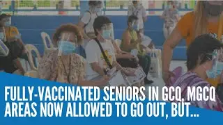Fully vaccinated seniors in GCQ, MGCQ areas now allowed to go out