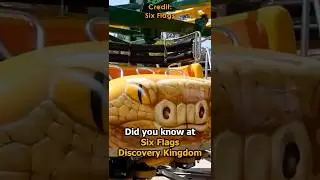 Знаете ли вы, что реклама Six Flags Discovery Kingdom пошла не так?