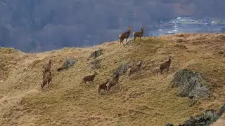 ANGLETARN PIKES 25thFeb2025