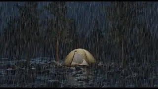 Rain Sounds in a Tent at Night 🌧️ Cozy Camping Ambience | Deep Sleep & Relaxation