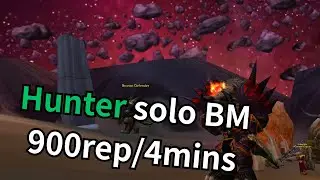 Turtle WoW - Hunter BM rep farm 900/4mins (3hr exalted)