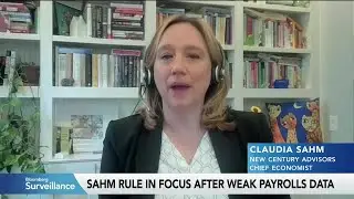 Claudia Sahm: Calm Is Important in a Moment Like This