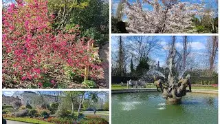 Royal Regents Park spring blossom and bloom
