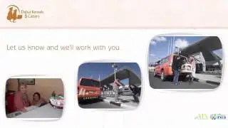 Dubai Expert Pet Care And Pet Relocation Services