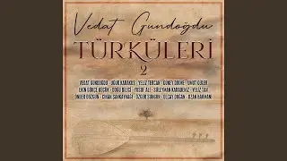 Nerdesin Şimdi