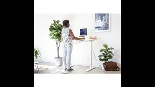Ergo Office One Standing Desk Frame