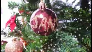 PSANS vam želi...