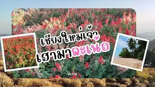เชียงใหม่เจ้า เฮามาแล้วเน้อ
