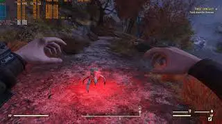 FALLOUT 76 RTX 2060 ULTRA 1440P GAMEPLAY