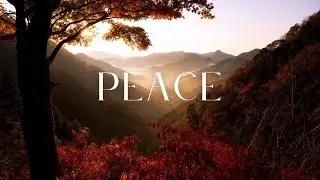Classic 80s & 90s Praise and Worship Playlist | Don Moen, Hosanna Music & Darlene Zschech songs