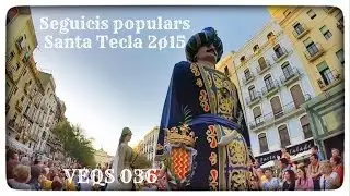 Seguicis Populars Santa Tecla 2015