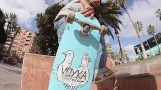 DLXSF x Todd Francis x Voyka Skateshop