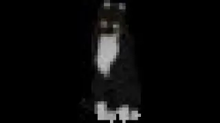 Crawling Chaos 2 - Cat