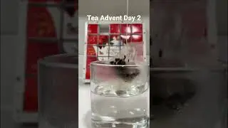 Tea Advent Calendar Day 2 | Tea Vlogmas | Christmas Advent