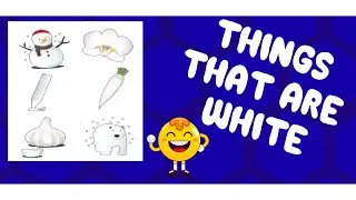 THINGS THAT ARE WHITE (Learn White Objects) Colour White and Objects | Click and Learn
