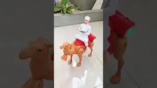 Pak haji pulang mengaji