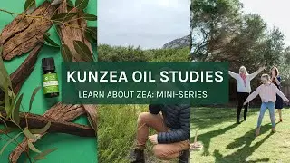Learn About Zea: Kunzea Oil Studies