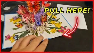 Hartensteler Butterflies in Nature Pop Up Card - 3D Butterfly Card for Wife, Girlfriend, Mom