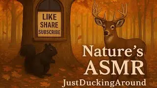 Calling all Wildlife watchers. Nature's ASMR Backyard Wildlife Experience Live Stream.