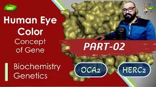 Human Eye Color Lecture | PART-2  | Gene Concept | Basic Science Series