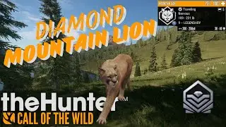 Diamond Mountain Lion on Silver Ridge Peaks! The Hunter Call of the Wild