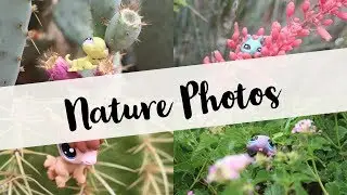 DIY: 5 Steps to Fabulous LPS Nature Photos