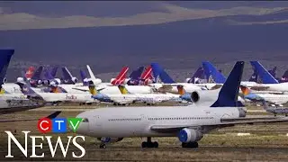 Parked planes: Visualizing COVID-19's impact on air travel
