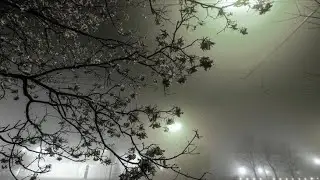 desired vibe n aura around u ⋆ ˚୨୧⋆｡˚ ⋆ subliminal !!