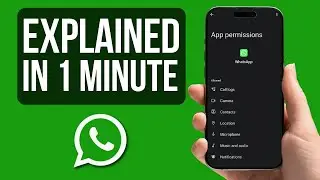 How to Disable Microphone Access for WhatsApp on Your Android