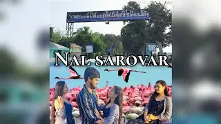 NAL SAROVAR | GUJRAT LARGEST WETLAND  BIRD SANCTUARY