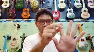 4. STEP BY STEP UKULELE LESSONS BY TURTULELE. FRETS, STRINGS AND LEFT HAND FINGER NUMBERS.