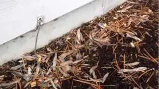 Seattle Home Inspection checking grounding cable   | (425) 207-3688 | CALL US!