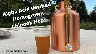 Harvest Ale 2020 - Homegrown Chinook Hops (AA% Verified)