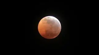 SuperBloodWolfMoon eclipse 2019 with Iphone Xs Max