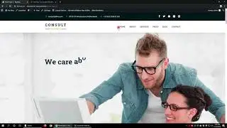 Consult Expert WordPress Theme Install and Demo Content Import with Customization