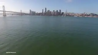SF Skyline