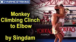 Monkey Climbing Clinch to Elbow by Saenchai