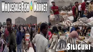 Wholesale Fish 🐟 Market 😨 | Siliguri | @TheAKO07vlog