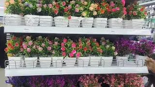 Savar MR D.I.Y - Newmarket (flower pot)Collection 
