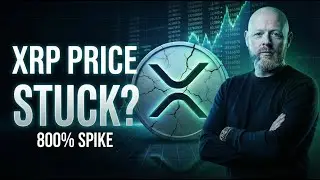 XRP Ledger Activity Spikes 800% &mdash; The Real Reason Price Hasn&rsquo;t Moved #xrp #xrpnews #xrpripple